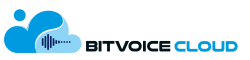 BitVoice Cloud Logo - Leading CRM and Telephony Provider in India